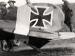 Detail-tailplane, Albatros DV D.2359/17, captured